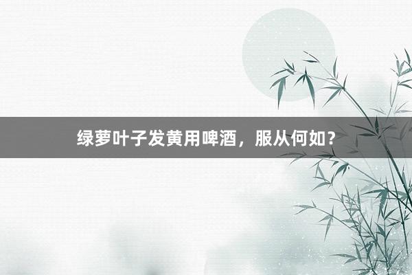 绿萝叶子发黄用啤酒,服从何如?